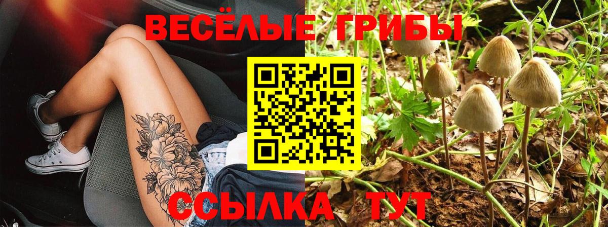 Псилоцибиновые грибы Magic Shrooms  Псилоцибиновые грибы ЛСД  Вход с VPN  Энгельс 
